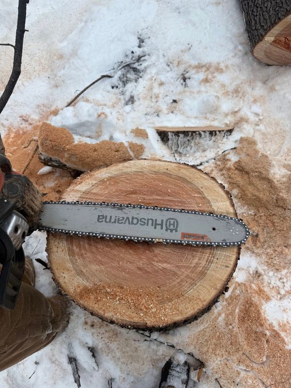 Tree Removal