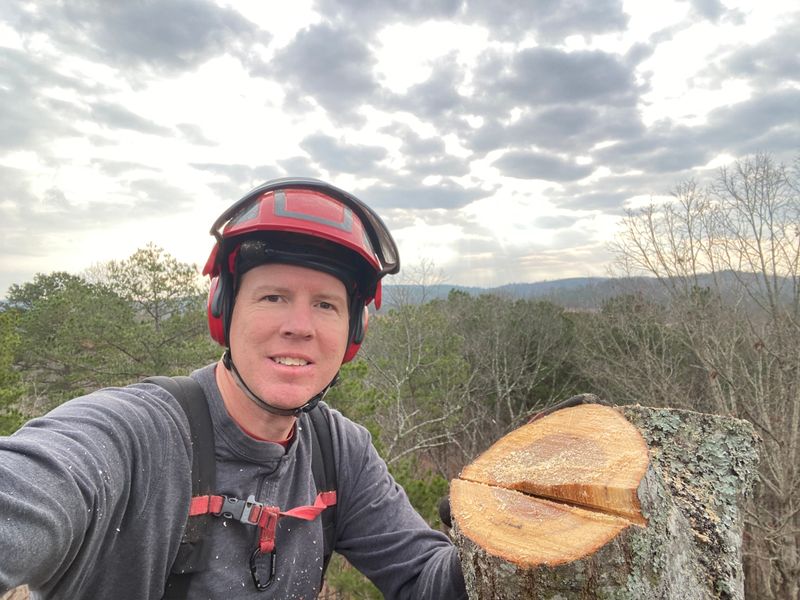 Tree Trimming