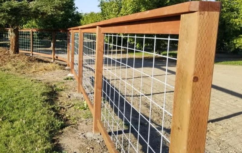 FENCE PICTURES