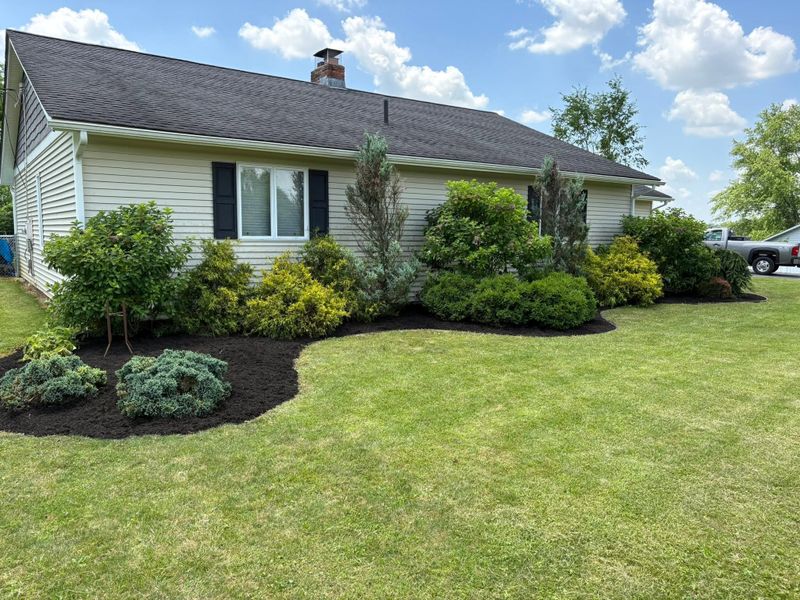 Landscaping