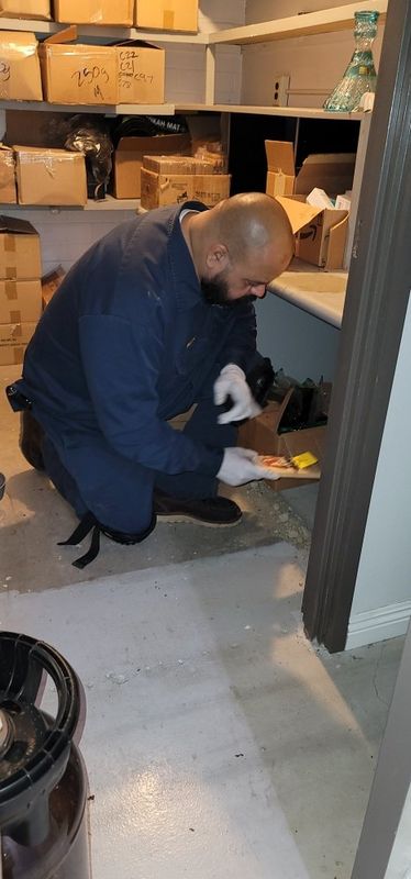 Rodent Control