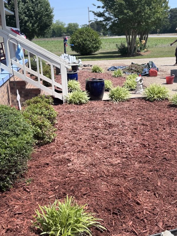 Landscape Design