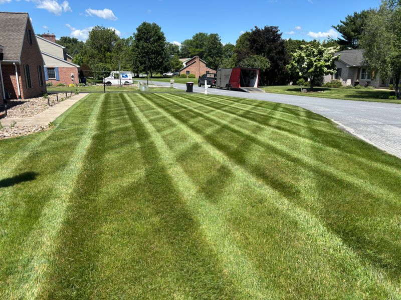 Lawn Mowing