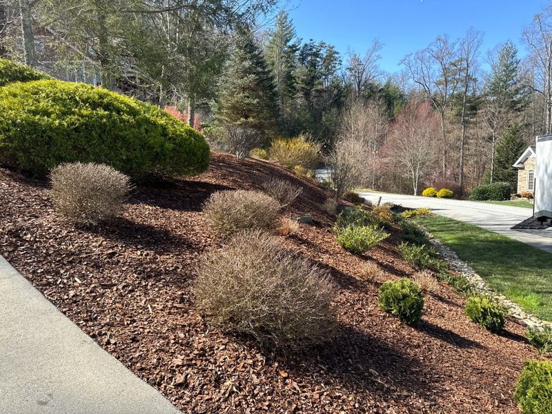 Lawn Care Services
