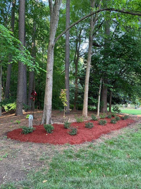 Landscaping