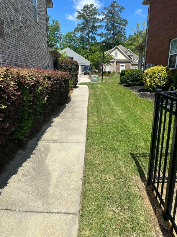 Landscaping