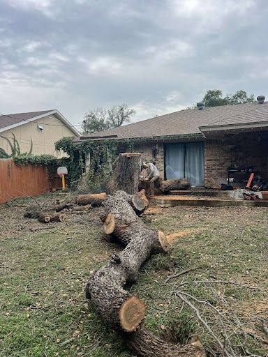 Tree Removal