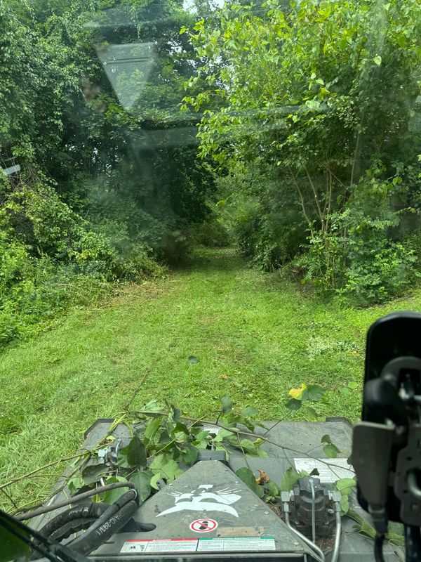 Land Clearing