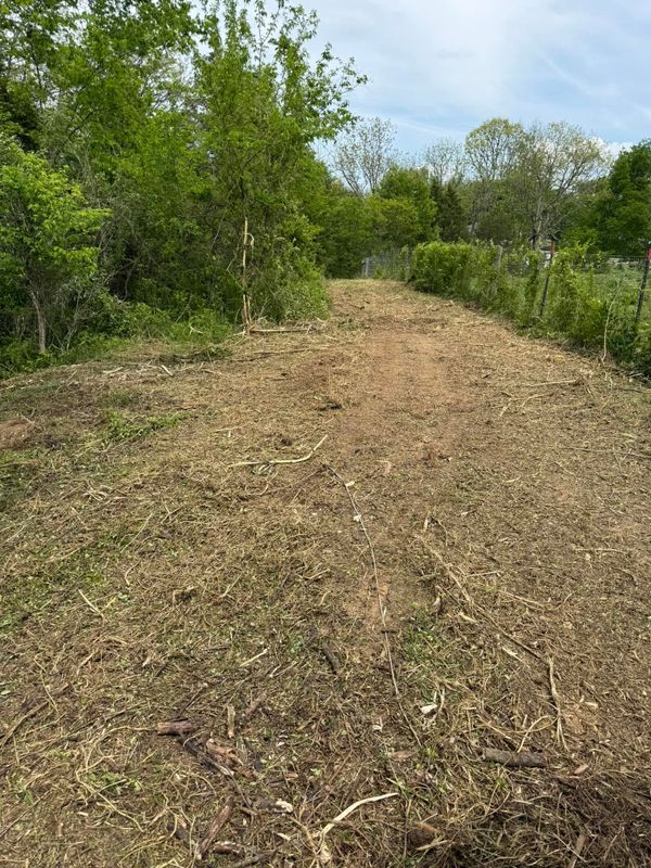 Driveway Excavation