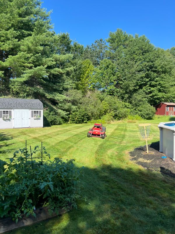 Lawn Maintenance