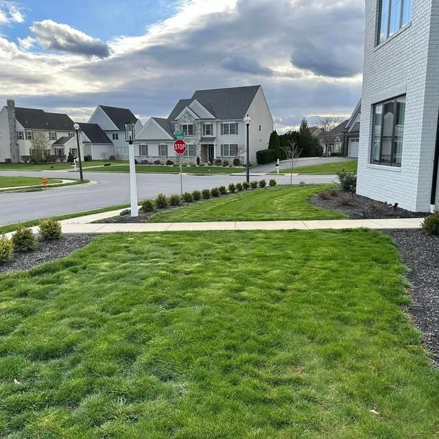 Lawn Care & Maintenance