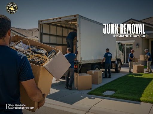 Junk Removal
