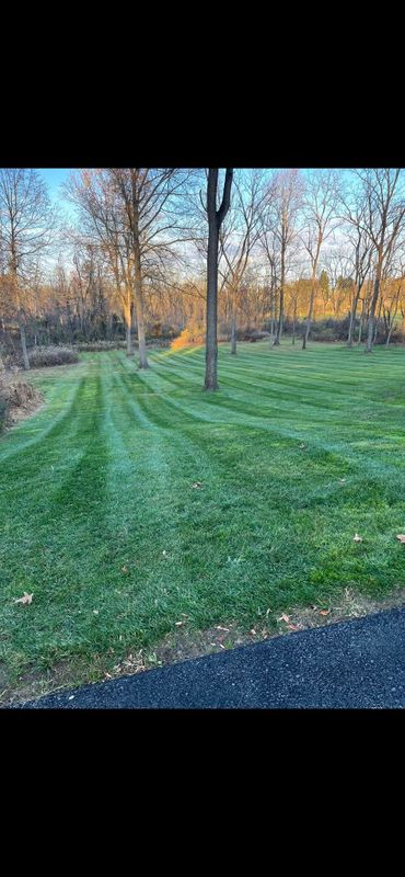 Fall cleanups