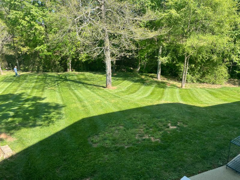 Lawn Maintenance
