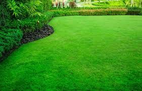 Lawn Care