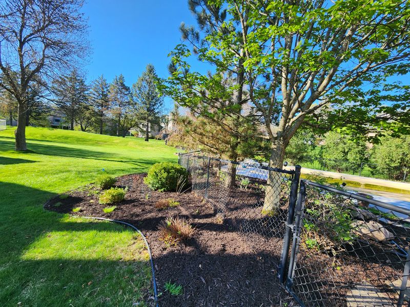 Shrub Trimming