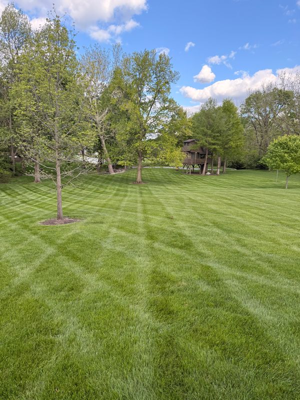 Lawn Care and Maintenance
