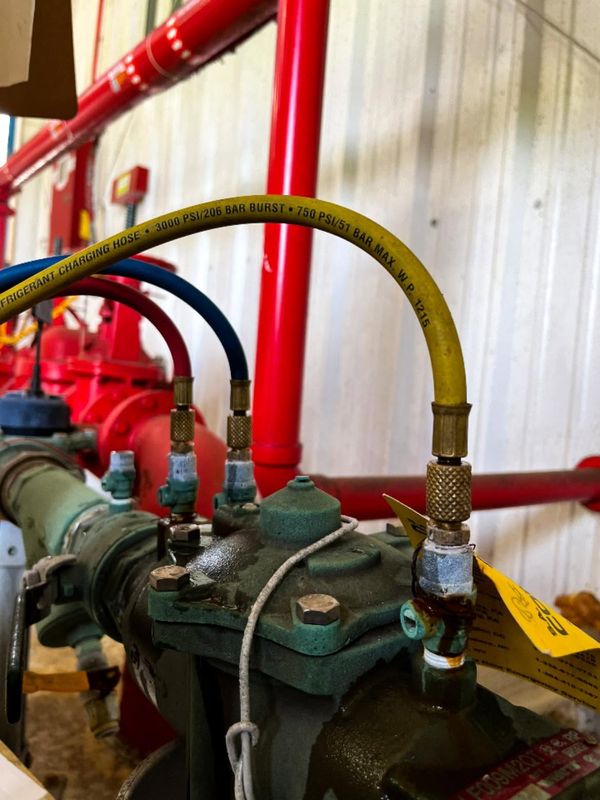 Backflow Testing
