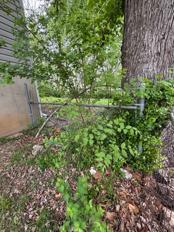 Gates & Fences