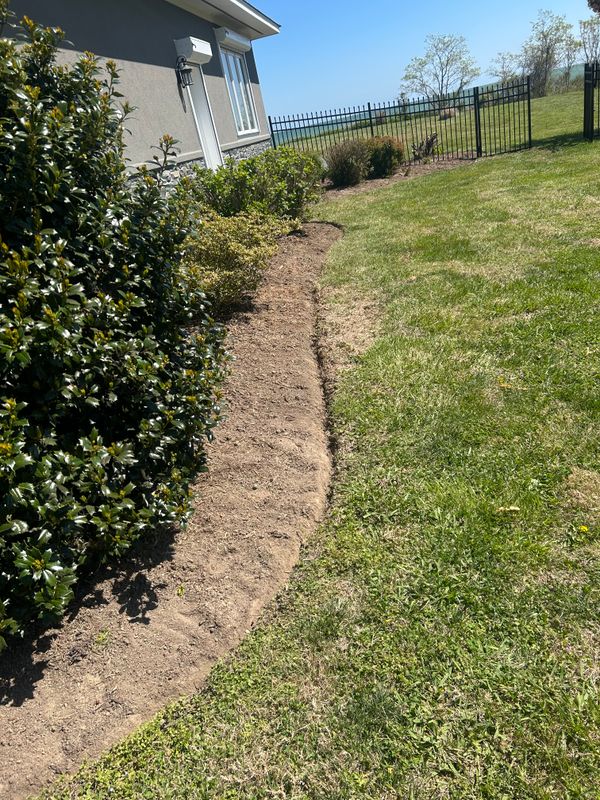 Mulch