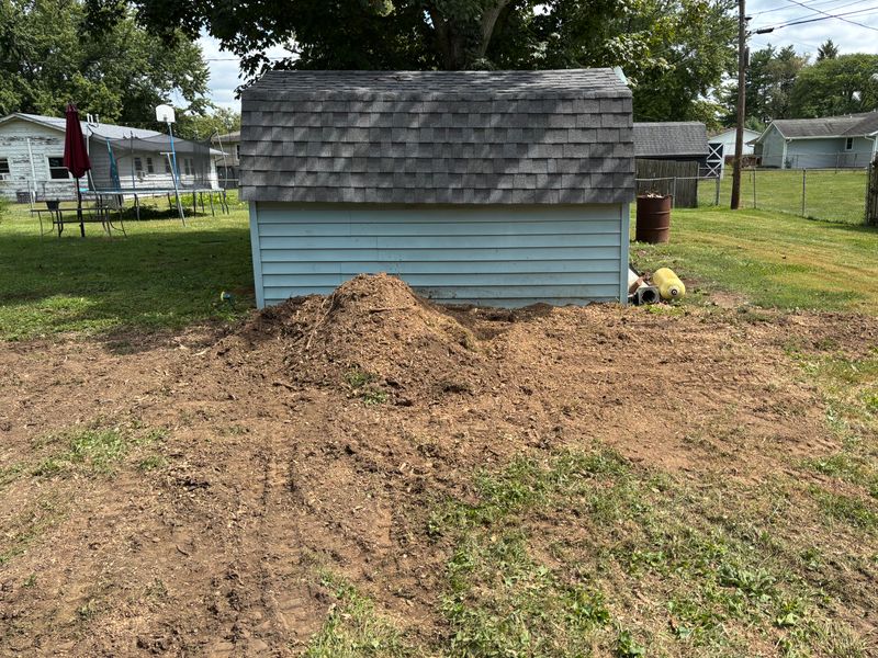 Stump Removal