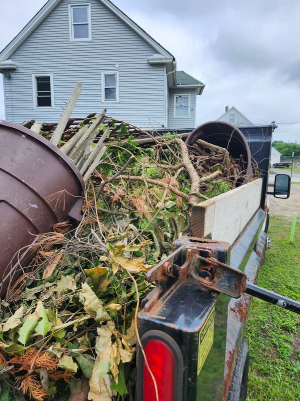 Fall Cleanups
