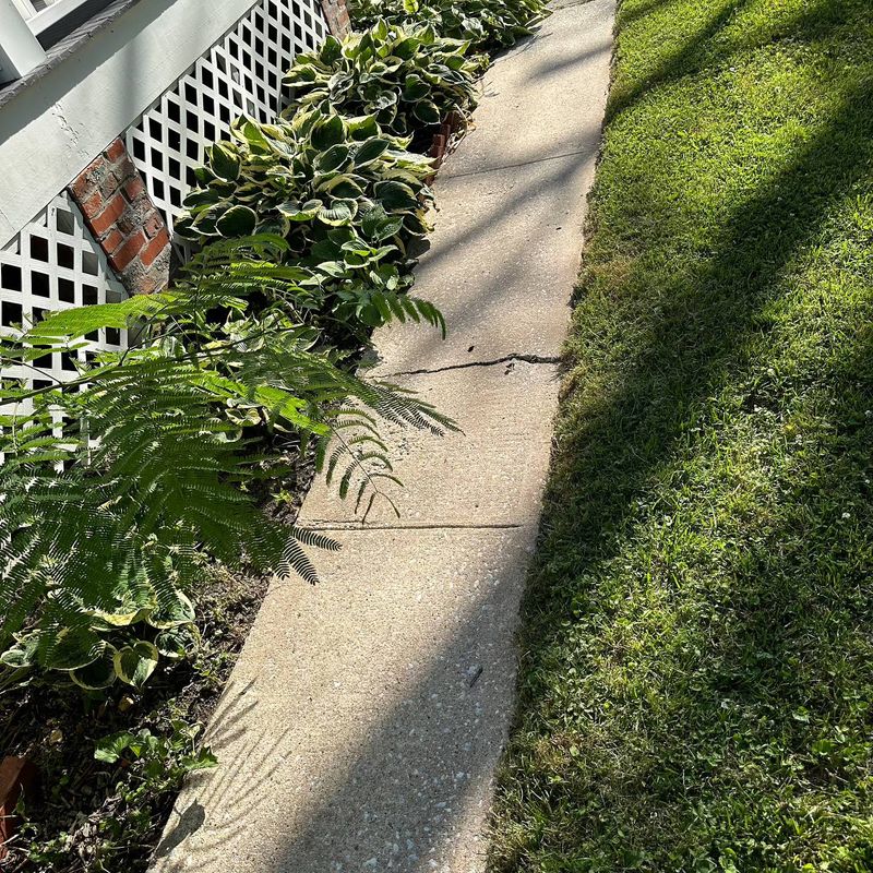 Driveway and Sidewalk Cleaning