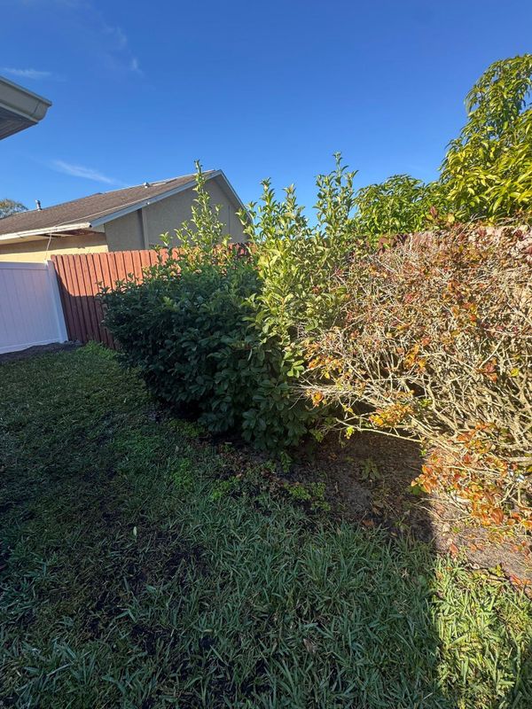 Lawn & Garden Services
