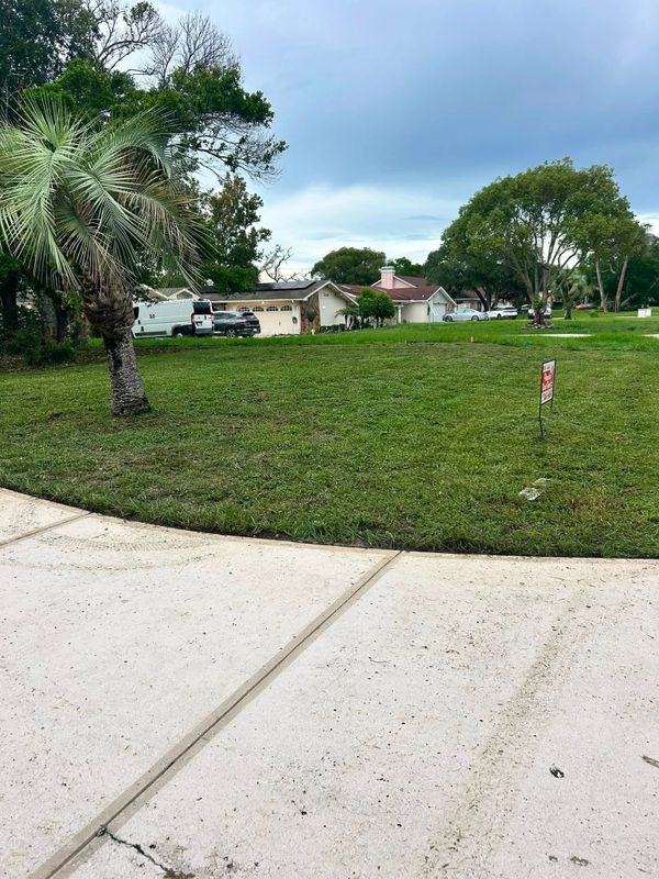 Lawn Maintenance