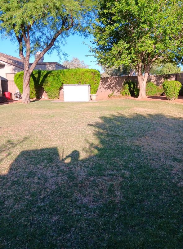 Lawn Care