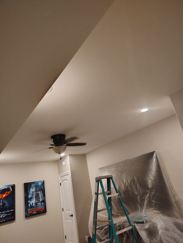 Home Theatre Ceiling Painting