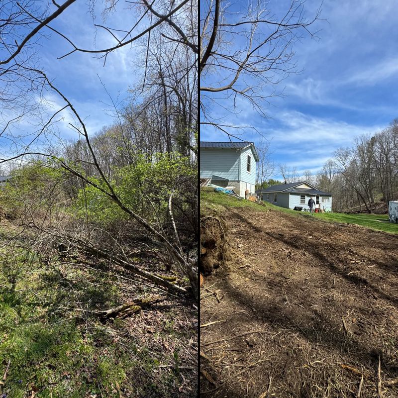 Land Clearing