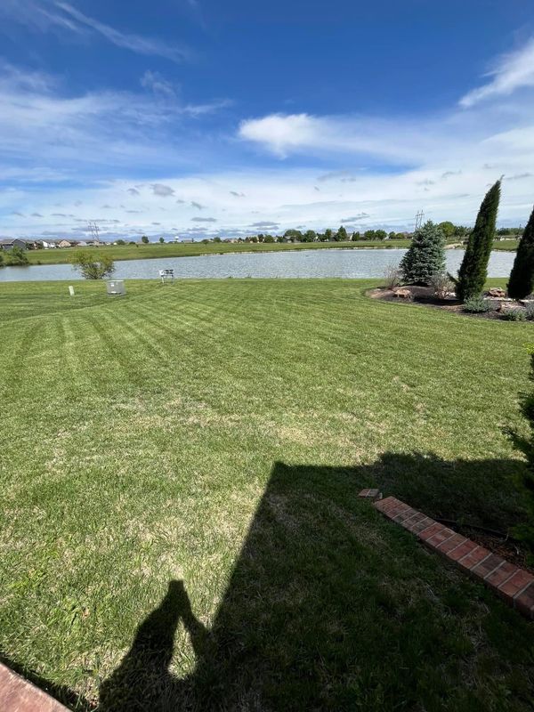 Lawn Maintenance