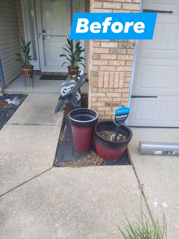 Tree & Shrub Care