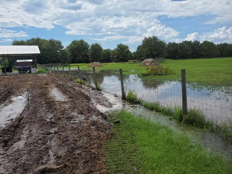 Land Clearing & Demolition
