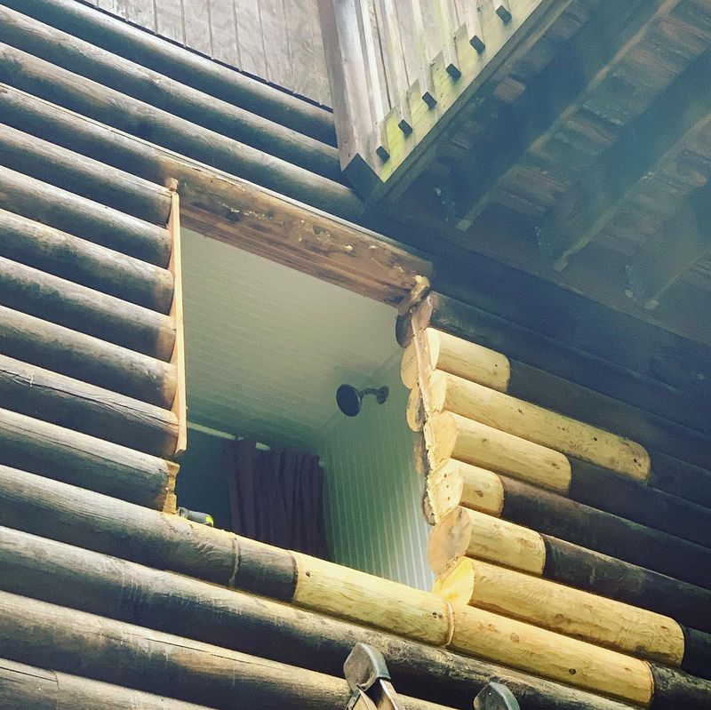 Log Repair