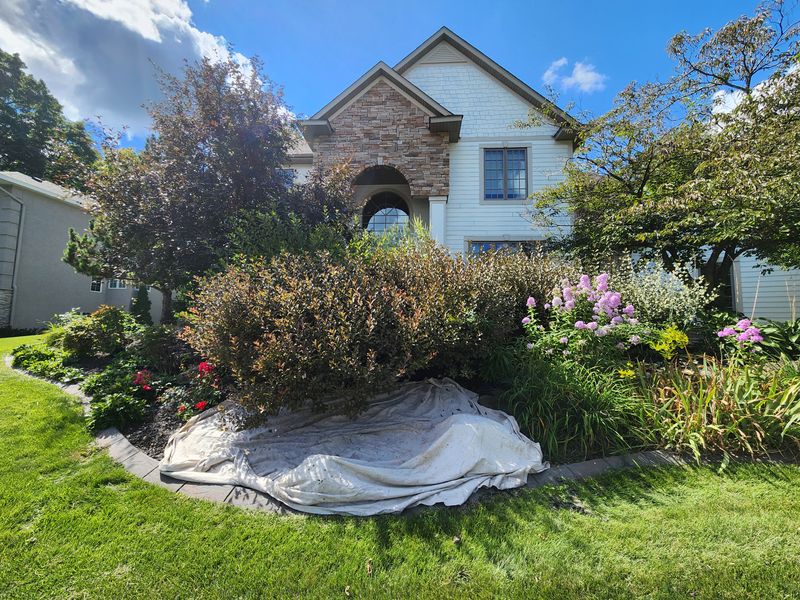 Hedge trimming 