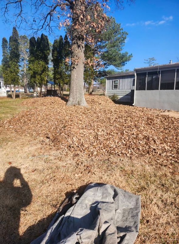 Fall and Spring Clean Up