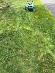 Mowing
