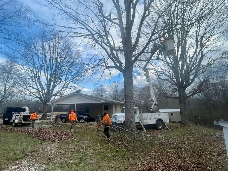 Other Tree Services