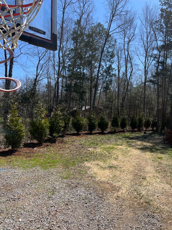 Privacy Trees