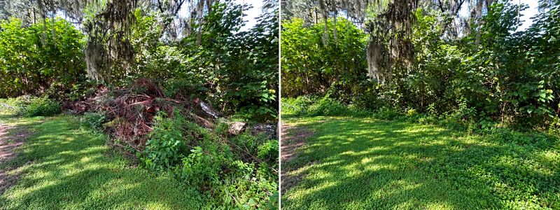Debris Removal