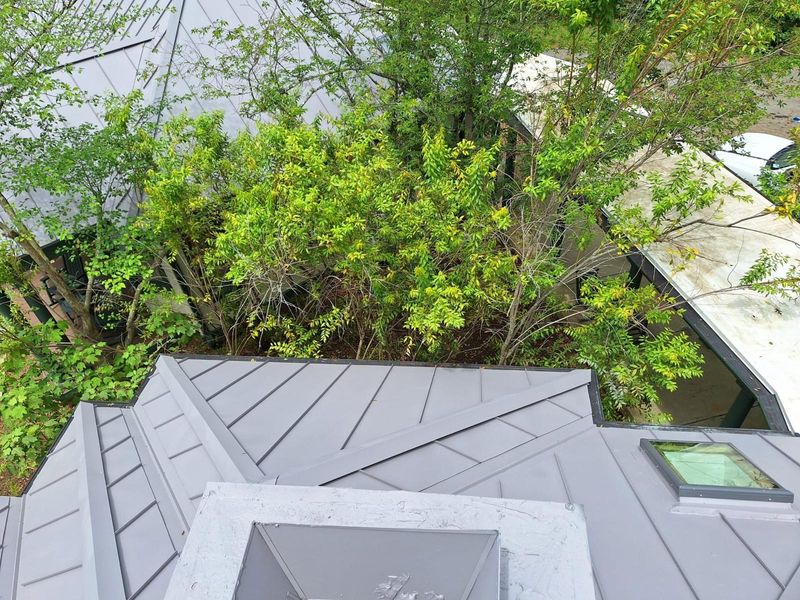 Metal Roofing