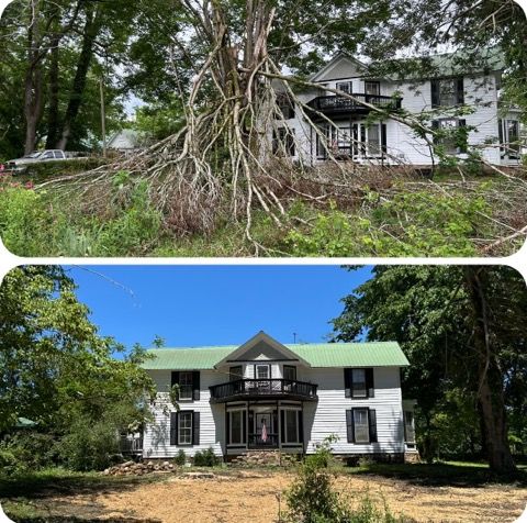 Restoring Safety: Tornado-Damaged Tree Removal in Tracy City, TN by McBee’s Tree Service