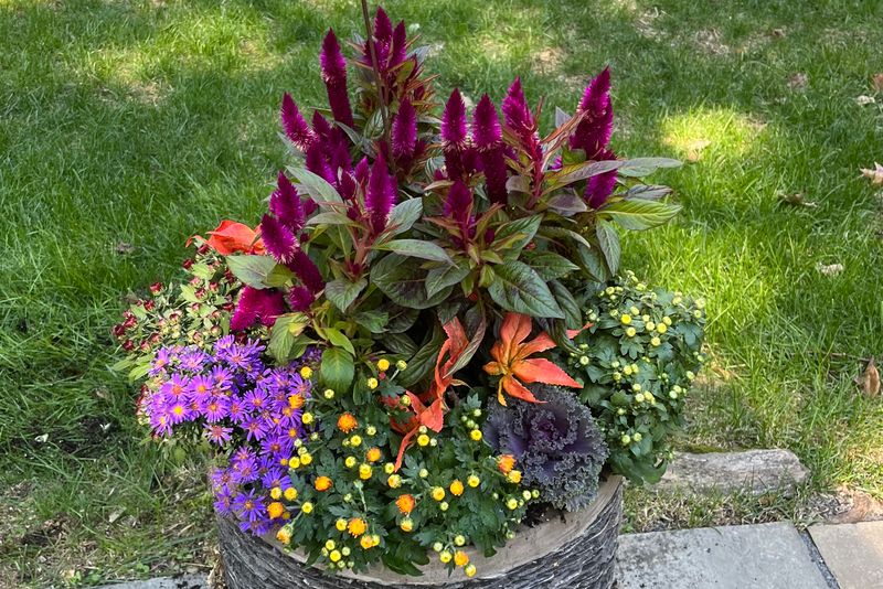 Hardscaping