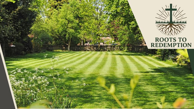Lawn Maintenance