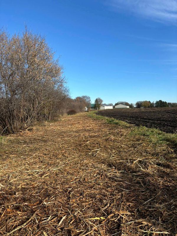 Crp Clearing