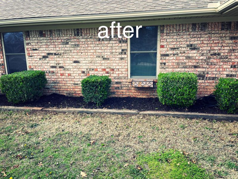Shrub Trimming/Removal