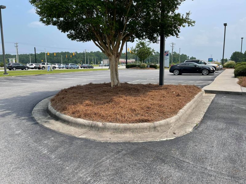 Landscaping