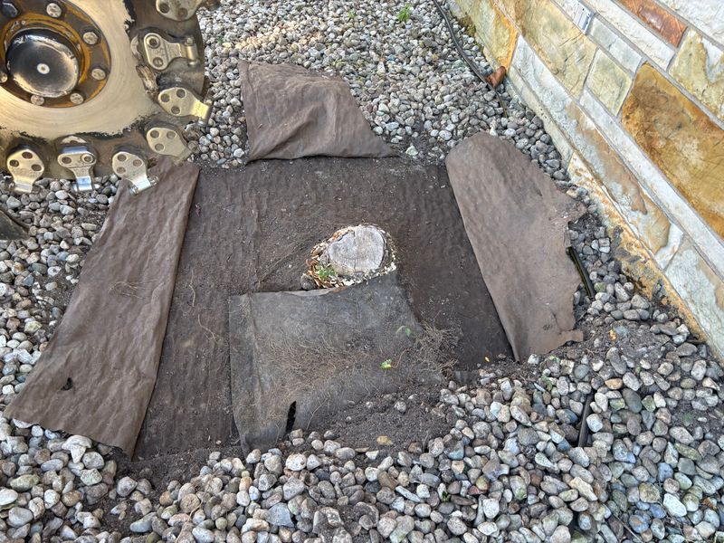 Stump Removal